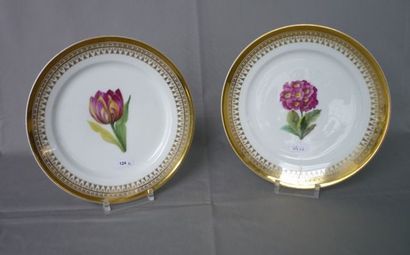 VIEUX-BRUXELLES, mi-XIXè Paire d'assiettes en procelaine blanche, décor de tulipe...