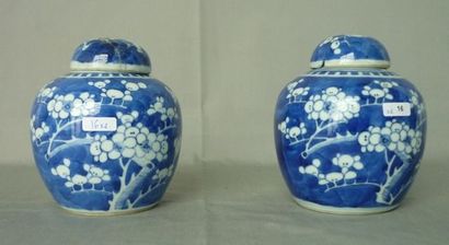 CHINE Paire de pots à gingembre en porcelaine dure, décor à fond bleu et branches...