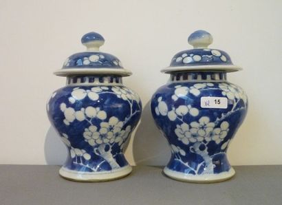 CHINE Paire de petites potiches en porcelaine dure, époque Guangxu, décor à fond...