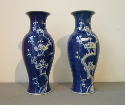 CHINE Paire de vases en porcelaine dure, époque Guangxu, décor à fond bleu et branches...