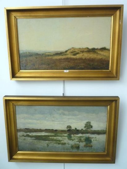 DE BRUYN Frans (école belge, 1867-1943) " Vues de dunes et de polders", paire d'huiles...
