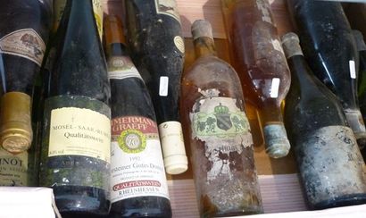 null VARIA de 11 bouteilles de blanc dont Mâcon Blanc Supérieur 1959, vins de Moselle...