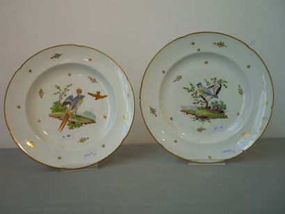 null Deux assiettes aux décors polychromes d'oiseaux sur tertre, XVIIIe, porcelaine,...