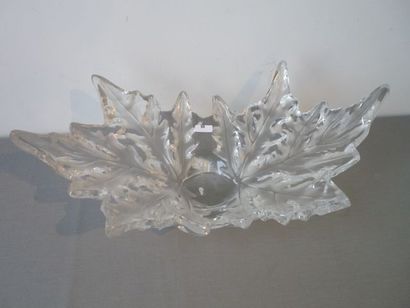 LALIQUE Importante coupe "Fougère", XXe, cristal partiellement dépoli, signée sous...