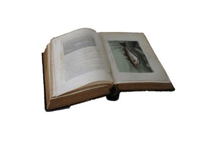 DE LA BLANCHÈRE H. "Dictionnaire général des pêches", Paris, Librairie de Ch. Delagrave...