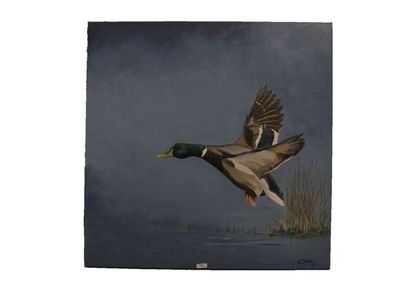 DEFACQZ Éveline "Colvert à l'atterrissage", 2014, acrylique sur toile, signée en...