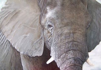 JANSSEN Marie-Françoise "Éléphant - Tembo", XXIe, acrylique sur toile, signée, 70x100...