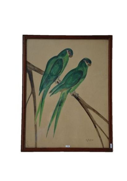 BIGOT Raymond (1872-1953) "Couple de perroquets", XXe, crayon et gouache sur papier,...