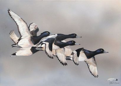 VISART DE BOCARME Marjolaine "Vol de canards morillons", XXIe, acrylique sur toile,...