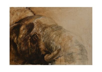 VANDEN BULCKE Valérie "Éléphant", XXIe, huile sur toile, signée à droite, contresignée...