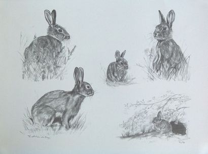 DE FAYS Kathleen "Étude de lapins", XXIe, crayon sur papier, signé en bas à gauche,...