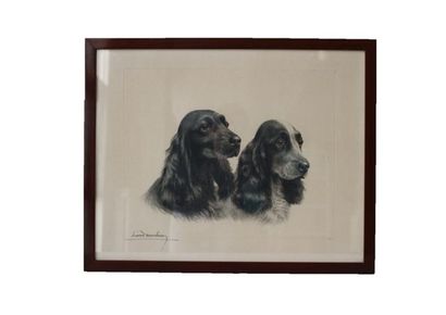 DANCHIN Léon (1887-1938) "Couple de cockers", estampe, 60x90 cm.