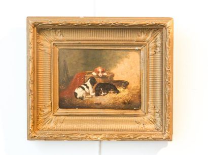 DE VOS Vincent (1829-1875) "Chiots", XIXe, huile sur panneau, signée en bas à droite,...