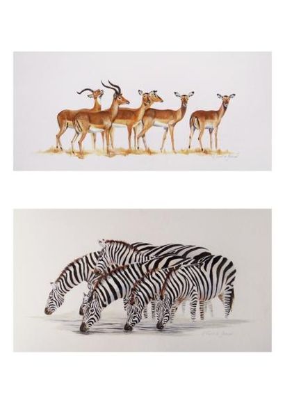 VISART DE BOCARME Marjolaine "Zèbres" et "Antilopes", XXIe, paire de dessins originaux...