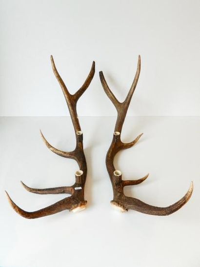 null Paire de candélabres, XXIe, bois de cerf, l. 85 cm env.