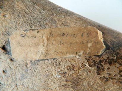 null Os préhistorique, étiquettes sur le flanc, l. 39 cm.