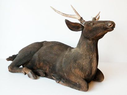 null Cerf couché, XXe, sujet en bois sculpté patiné et bois de cerf, l. 95 cm env....