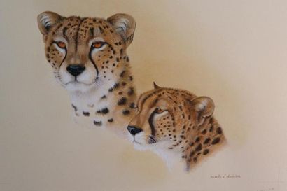 DUVIVIER Nicole V. "Cheetahs (Guépards)", 2014, technique mixte sur papier, signée...