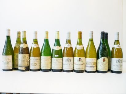 null Ensemble de douze bouteilles de vin blanc [étiquettes et niveaux : états divers]...