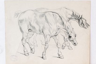 VAN CAMP Camille (1834-1891) "Études de chevaux", XIXe, deux crayons sur papier,...