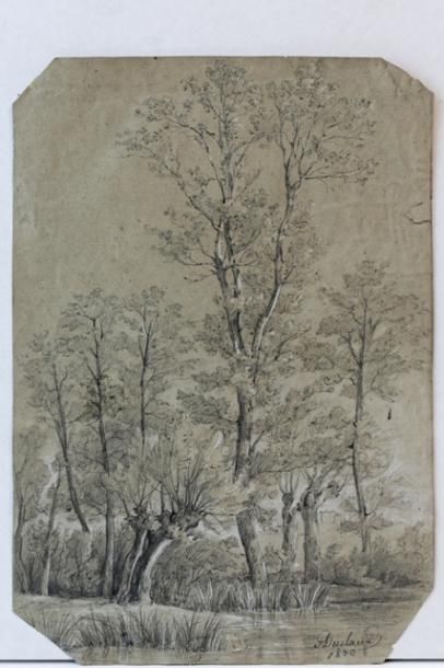 DUCLAUX Jean-Antoine (1783-1868) "Bord d'étang", 1850, pierre noire et rehauts de...