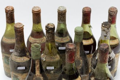 null JURA, Henri Maire, dix-neuf bouteilles :

- Ancestral Macvin - liqueur secrète...