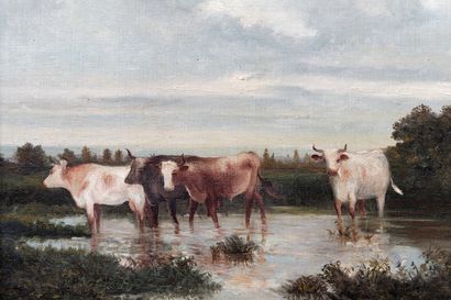 HOOT A. "Quatre vaches", XXe, huile sur toile, signée en bas à gauche, 38,4x48,5...