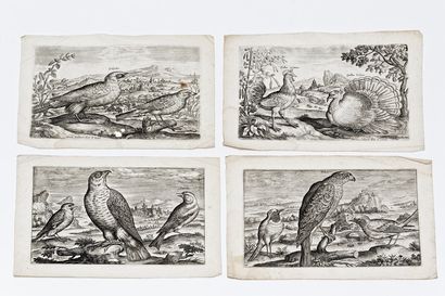 COLLAERT Adriaen (c.1560-1618) Suite de six estampes animalières, 16,5x22,5 cm env....