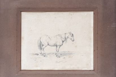 VERBOECKHOVEN Eugène (1798/99-1881) "Cheval", 1833, crayon sur papier, signé et daté...