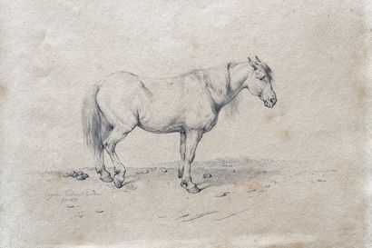 VERBOECKHOVEN Eugène (1798/99-1881) "Cheval", 1833, crayon sur papier, signé et daté...