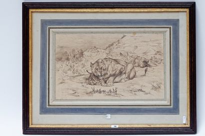 LANÇON Auguste André (1836-1887) "Lionne attaquée", XIXe, plume et encre sur papier...