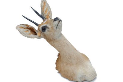 null Un oryx et une antilope en cape, h. 122 et 42 cm env. [altérations].