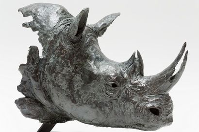 CHABERT Pierre-Jean (1978) "Tête de rhinocéros", XXIe, sujet en bronze à patine nuancée,...