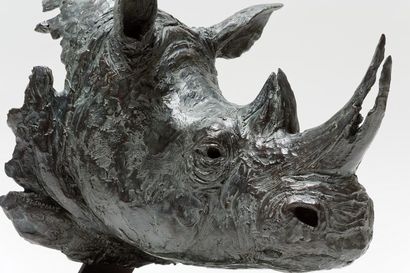 CHABERT Pierre-Jean (1978) "Tête de rhinocéros", XXIe, sujet en bronze à patine nuancée,...
