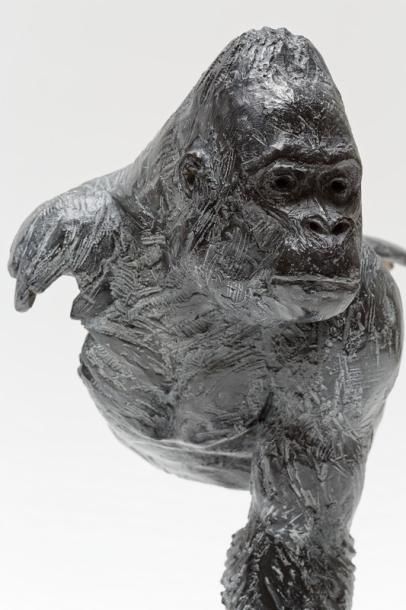 CHABERT Pierre-Jean (1978) "Gorille", XXIe, sujet en bronze à patine nuancée, signé...