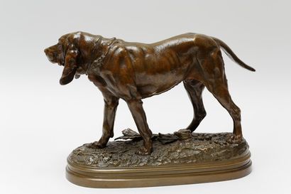 LECOURTIER Prosper (1851-1924) "Chien de Saint-Hubert", circa 1880, sujet en bronze...