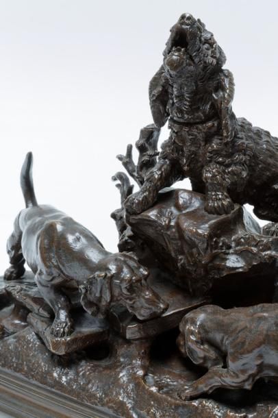 MOIGNIEZ Jules (1835-1894) "Chiens au terrier", circa 1880, groupe en bronze à patine...