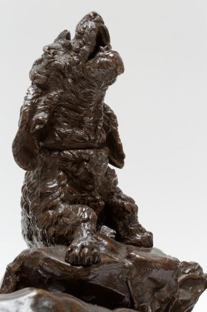 MOIGNIEZ Jules (1835-1894) "Chiens au terrier", circa 1880, groupe en bronze à patine...