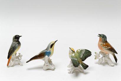 null Ensemble d'oiseaux de différentes variétés, XXe, porcelaine émaillée.