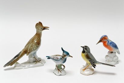 null Ensemble d'oiseaux de différentes variétés, XXe, porcelaine émaillée.