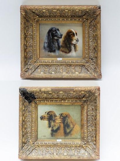 MAHER L. "Portraits de chiens", début XXe, paire d'huiles sur panneau dont une sur...