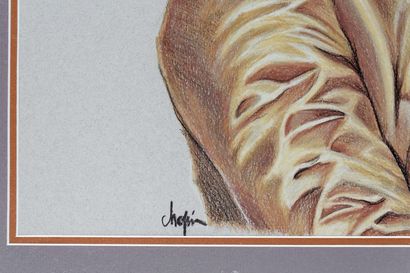 CHOPIN "Cerf en habit", XXe, pastel sur papier chamois, signé en bas à gauche, 60,5x46...