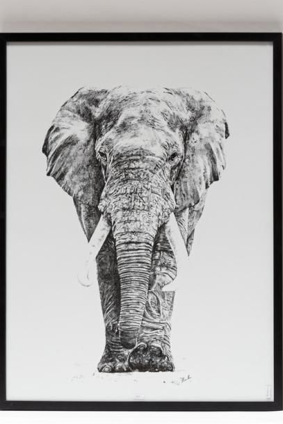 MALOU Salomé "Éléphant", XXIe, estampe, tirage n°2/25 au dos, 66,5x42 cm.