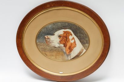 CLARYS Alexander (1857-1930) "Portraits de chien", circa 1900, suite de trois aquarelles...