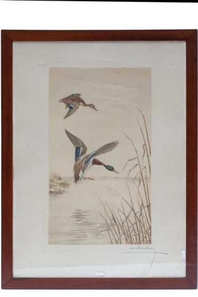 DANCHIN Léon (1887-1938) "Canards au marais", lithographie polychrome, signée et...