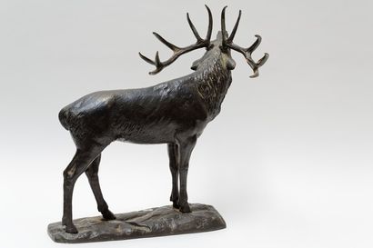 KANULAT M. "Le Brâme du cerf", XXIe, sujet en bronze, signé sur la terrasse, 57x57...