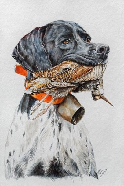 DE MAUROY Magali "Pointer à la bécasse", XXIe, aquarelle sur papier, 24x16 cm.