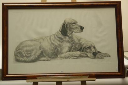 DANCHIN Léon (1887-1938) "Couple de chiens", XXe, lithographie polychrome, 46x86...
