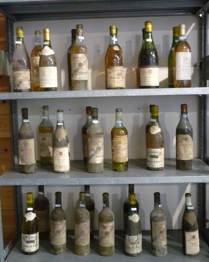 null VARIA, blanc, trente bouteilles:

- LOIRE (SANCERRE), blanc, Maison Mellot 1971,...