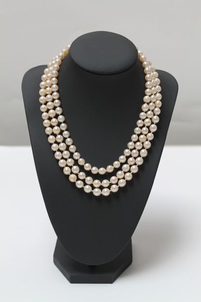 null Collier à trois rangs de perles, beau fermoir en or blanc serti d'une perle...